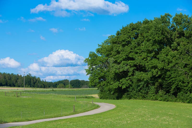 Caminhada fotografia de stock royalty free