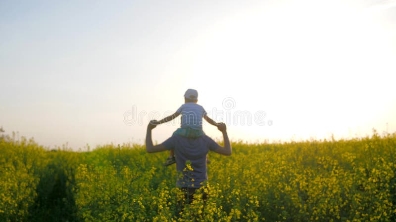 A caminhada da família, os homens com o menino no pescoço que move-se através do campo, o paizinho e as crianças vão pelo campo c