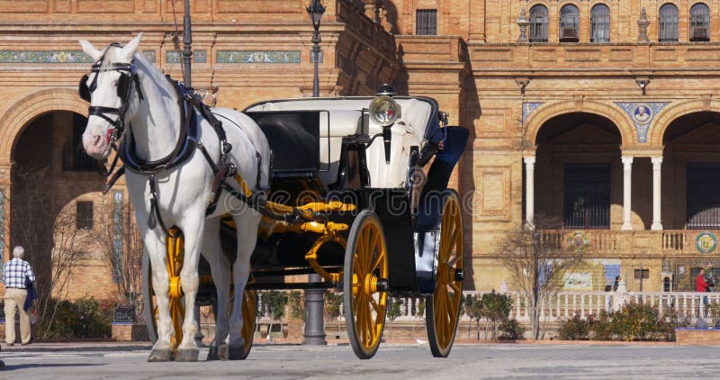 Caminhada 4k Sevilha spain do turista do cavalo de espana da plaza