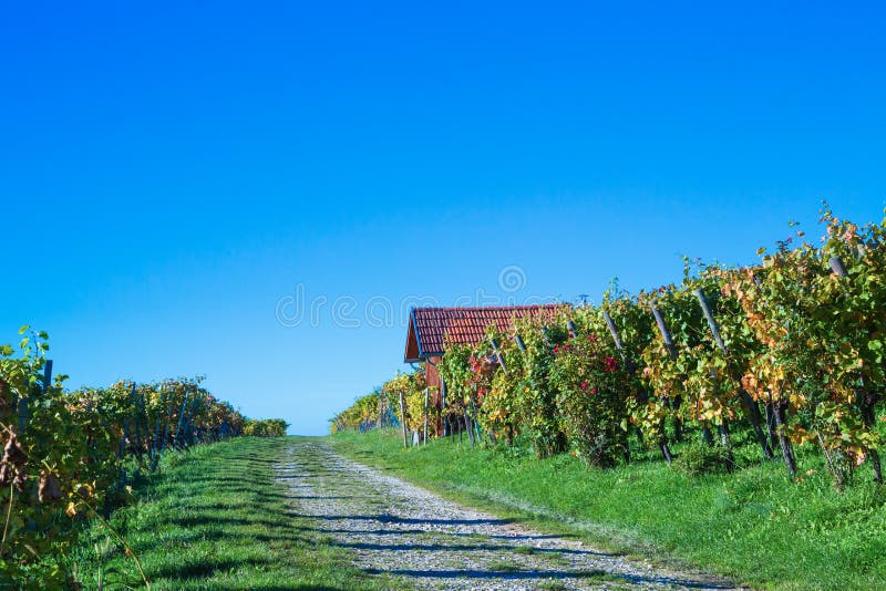 Percurso pedestre foto de stock