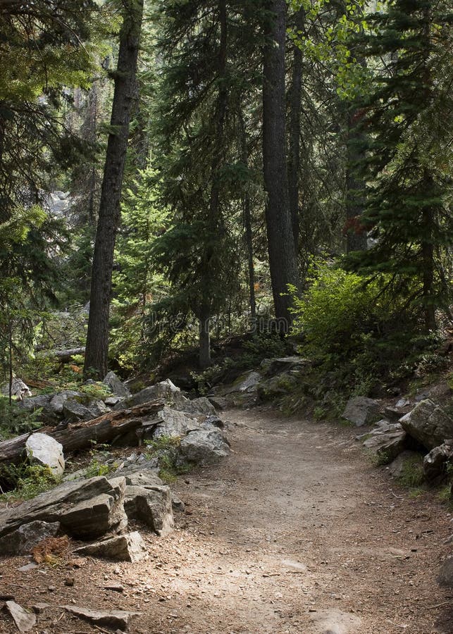 Percurso de Caminhada fotos de stock