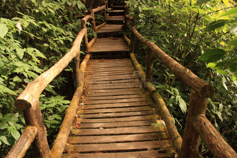 Percurso pedestre fotos de stock royalty free