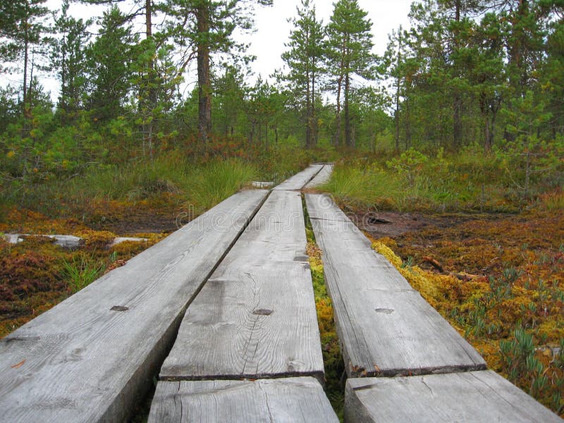 Percurso pedestre imagem de stock royalty free