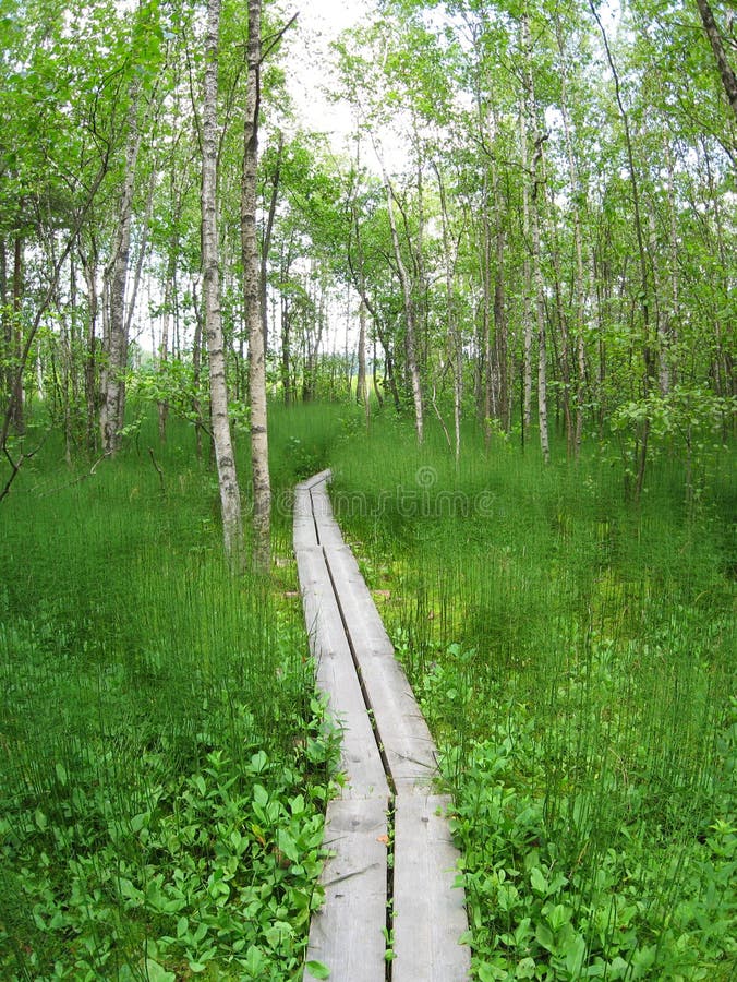 Percurso de caminhada foto de stock