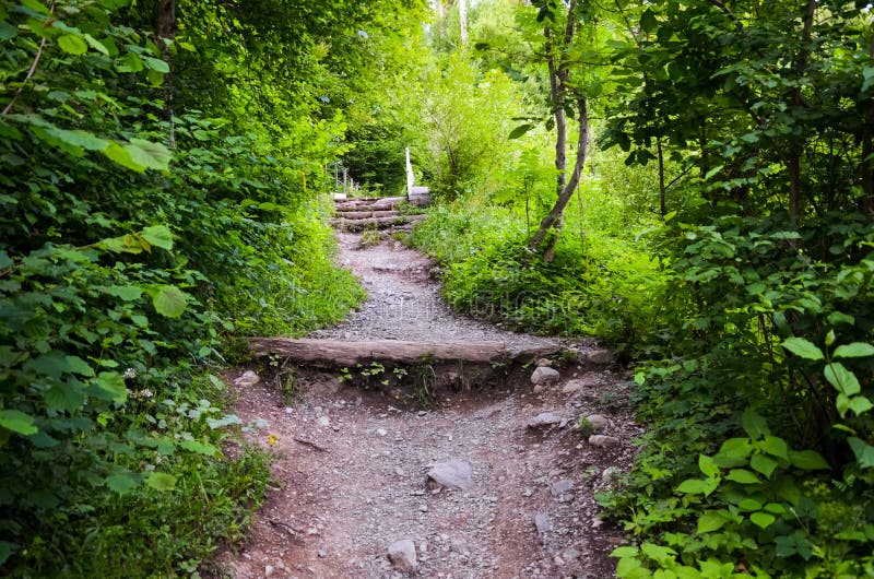 Caminhando o trajeto na floresta que conduz à parte superior de Kulm mais duro famoso, Interlaken, Suíça Fuga de montanha no terr imagem de stock Caminhando o trajeto na floresta que conduz à parte superior de Kulm mais duro famoso, Interlaken, Suíça Fuga de montanha no terr imagem de stock
