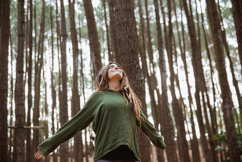 Caminhante da jovem mulher que relaxa nas madeiras fotos de stock Caminhante da jovem mulher que relaxa nas madeiras fotos de stock
