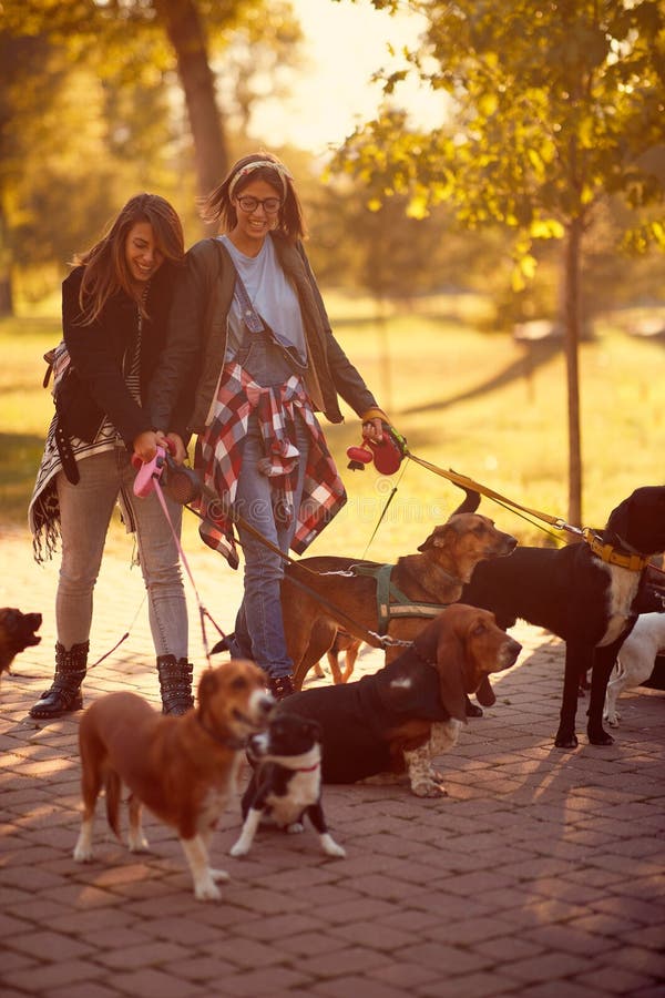Caminhante feliz do cão das meninas com os cães que apreciam no passeio engraçado imagens de stock royalty free Caminhante feliz do cão das meninas com os cães que apreciam no passeio engraçado imagens de stock royalty free