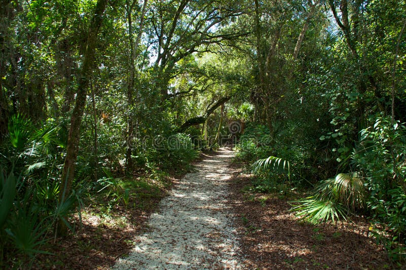 View of a shaded gravel walkway though a subtropical forest in Bonita Springs Florida. View of a shaded gravel walkway though a subtropical forest in Bonita Springs Florida.