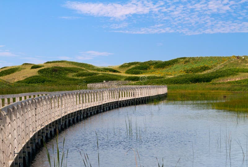A curving wooden boardwalk across fresh water to the Sand Dunes in Grenich National Park, Prince EDward Island, Canada. A curving wooden boardwalk across fresh water to the Sand Dunes in Grenich National Park, Prince EDward Island, Canada