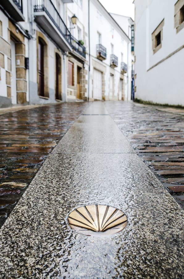 Camino de Santiago de Compostela. Golden yellow scallop shell on a wet street floor. Most famous pilgrimage route in Europe