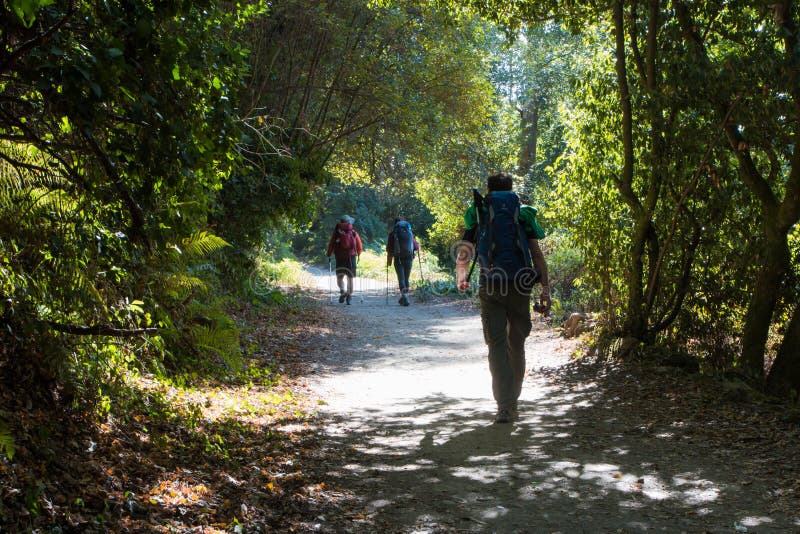 Camino de Santiago trail, Galicia, Spain