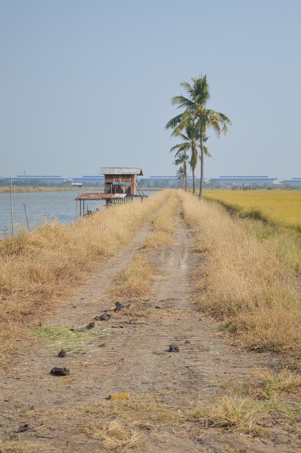 Camino de tierra en el país Chachoengsao, Tailandia de la naturaleza fotos de archivo Camino de tierra en el país Chachoengsao, Tailandia de la naturaleza fotos de archivo
