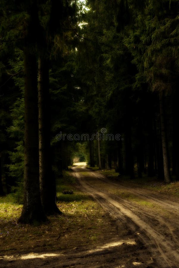 Camino de tierra a través del bosque imagen de archivo libre de regalías Camino de tierra a través del bosque imagen de archivo libre de regalías