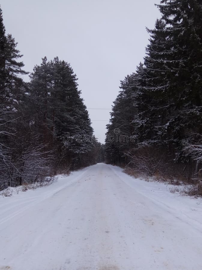 Camino del invierno en el bosque conífero nevoso para el papel pintado del fondo de los esquiadores imagen de archivo libre de regalías Camino del invierno en el bosque conífero nevoso para el papel pintado del fondo de los esquiadores imagen de archivo libre de regalías