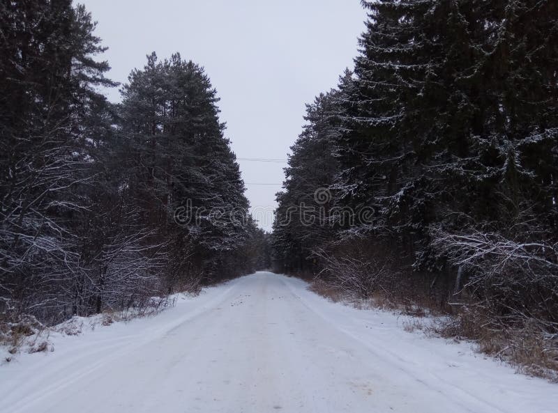 Camino del invierno en el bosque conífero nevoso para el papel pintado del fondo de los esquiadores foto de archivo Camino del invierno en el bosque conífero nevoso para el papel pintado del fondo de los esquiadores foto de archivo