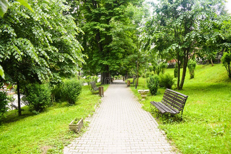Camino del pavimento concreto en el parque verde de la ciudad con los árboles verdes y los bancos vacíos Jardín en ciudad urbana imagen de archivo Camino del pavimento concreto en el parque verde de la ciudad con los árboles verdes y los bancos vacíos Jardín en ciudad urbana imagen de archivo