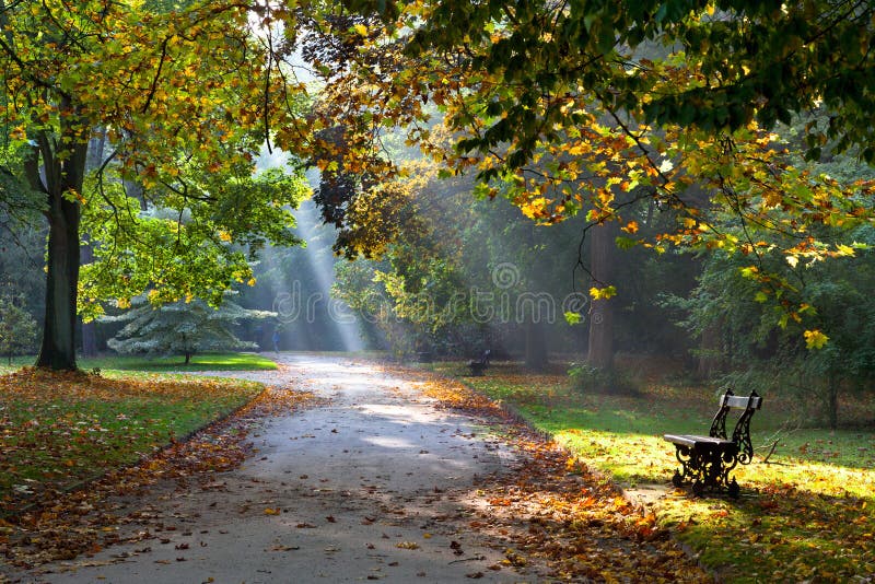 Camino en el parque del otoño. Luz del sol. El recorrer. fotos de archivo libres de regalías Camino en el parque del otoño. Luz del sol. El recorrer. fotos de archivo libres de regalías