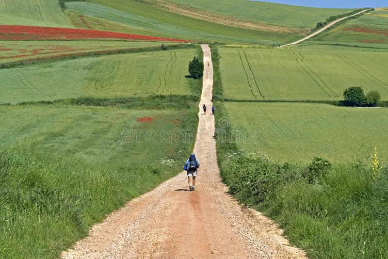 Camino Frances que camina a peregrinos en paisaje rural