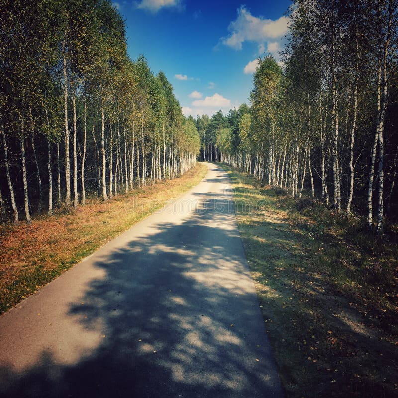 Camino lateral en Polonia imagen de