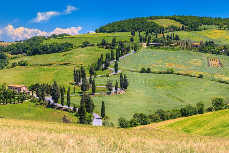 Camino rural de enrrollamiento maravilloso con los cipreses en Toscana, Italia, Europa imágenes de archivo libres de regalías Camino rural de enrrollamiento maravilloso con los cipreses en Toscana, Italia, Europa imágenes de archivo libres de regalías