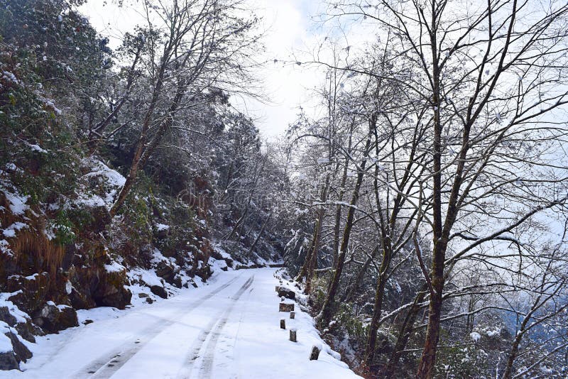 Camino a través de las montañas y de los árboles de Himalaya cubiertos por la nieve durante invierno, Uttarakhand, la India foto de archivo Camino a través de las montañas y de los árboles de Himalaya cubiertos por la nieve durante invierno, Uttarakhand, la India foto de archivo