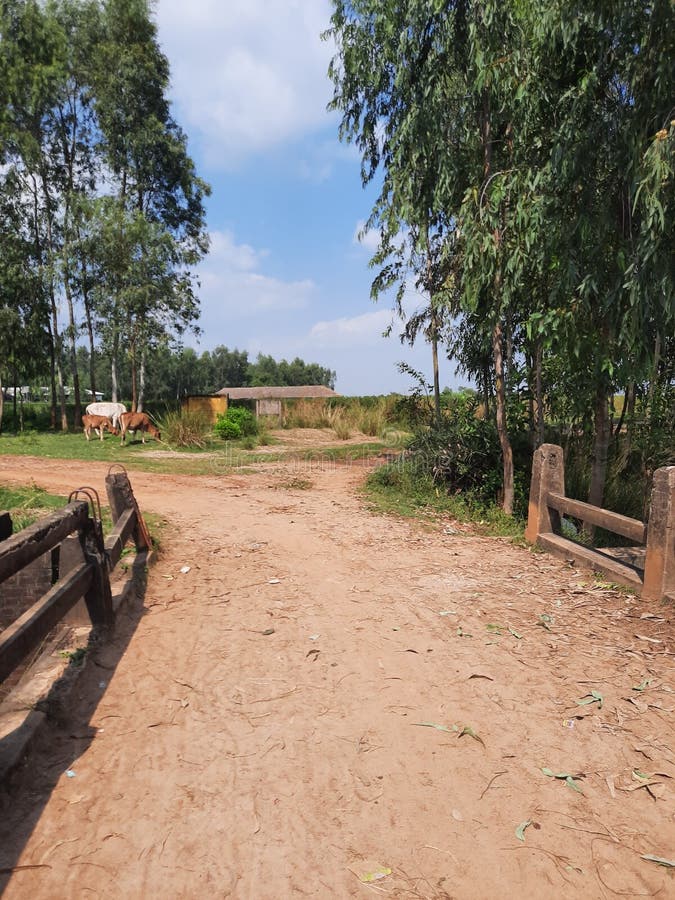 Caminos de pueblo indias imagen de archivo. Imagen de canal 213883215