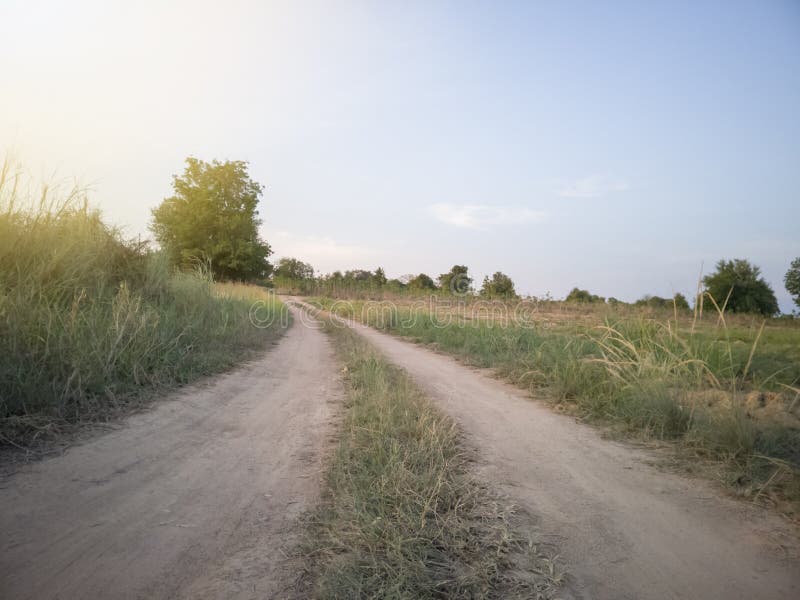 Caminos Rurales Con La Hierba En El Lado Imagen De Archivo Imagen De