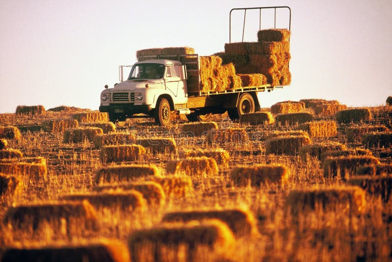 Camion de foin photos stock