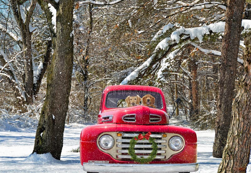 Camion de Noël avec des chiens photos libres de droits Camion de Noël avec des chiens photos libres de droits