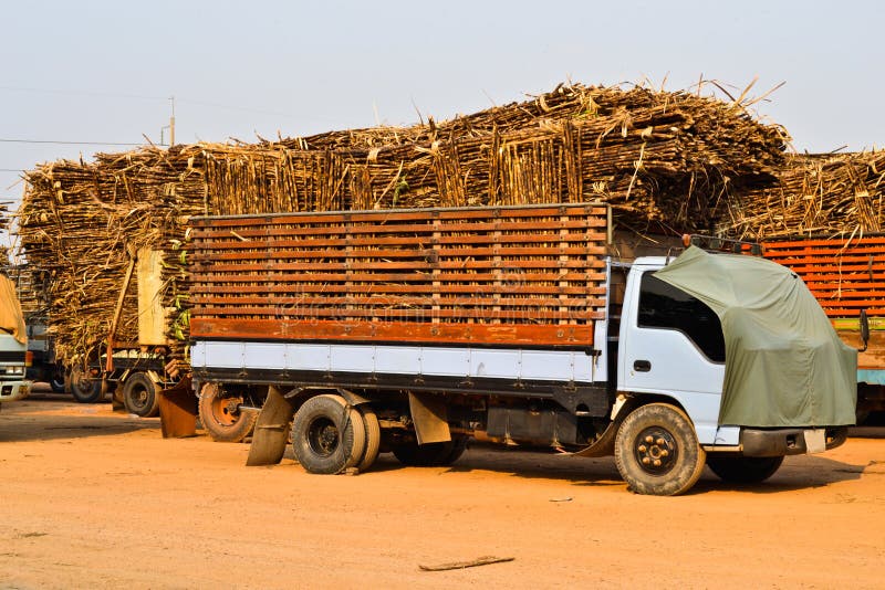 Camion della canna da zucchero in Tailandia immagini stock libere da diritti Camion della canna da zucchero in Tailandia immagini stock libere da diritti
