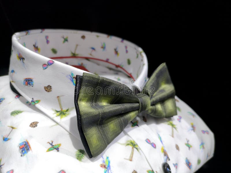 Camisa blanca con los modelos brillantes del verano con una corbata de lazo verde hermosa foto de archivo libre de regalías Camisa blanca con los modelos brillantes del verano con una corbata de lazo verde hermosa foto de archivo libre de regalías