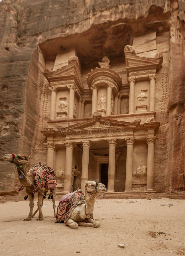 Cammelli al Ministero del Tesoro a Petra Ruins immagini stock libere da diritti Cammelli al Ministero del Tesoro a Petra Ruins immagini stock libere da diritti