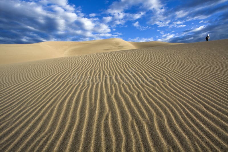 Camminando le dune - grande sosta nazionale delle dune di sabbia immagine stock libera da diritti Camminando le dune - grande sosta nazionale delle dune di sabbia immagine stock libera da diritti