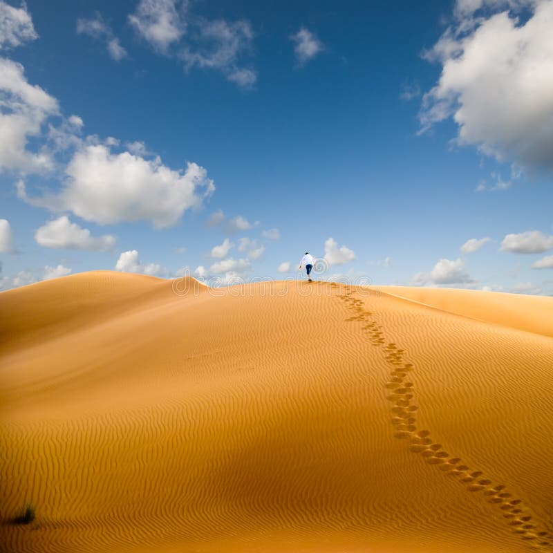 Camminando nel deserto fotografia stock. Immagine di persona 7191754