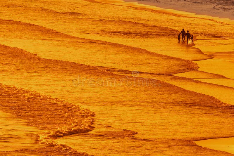 Camminando sulla spiaggia del mare fotografia stock Camminando sulla spiaggia del mare fotografia stock