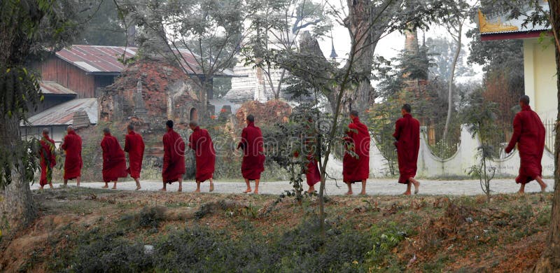 Camminare delle undici rane pescarici. Myanmar (Birmania) fotografie stock Camminare delle undici rane pescarici. Myanmar (Birmania) fotografie stock