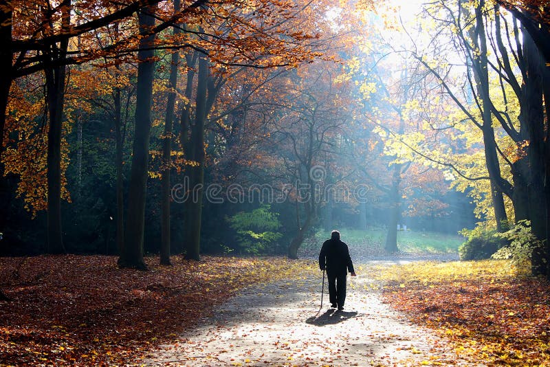 camminare maggiore dell'uomo di vita di autunno immagine stock camminare maggiore dell'uomo di vita di autunno immagine stock
