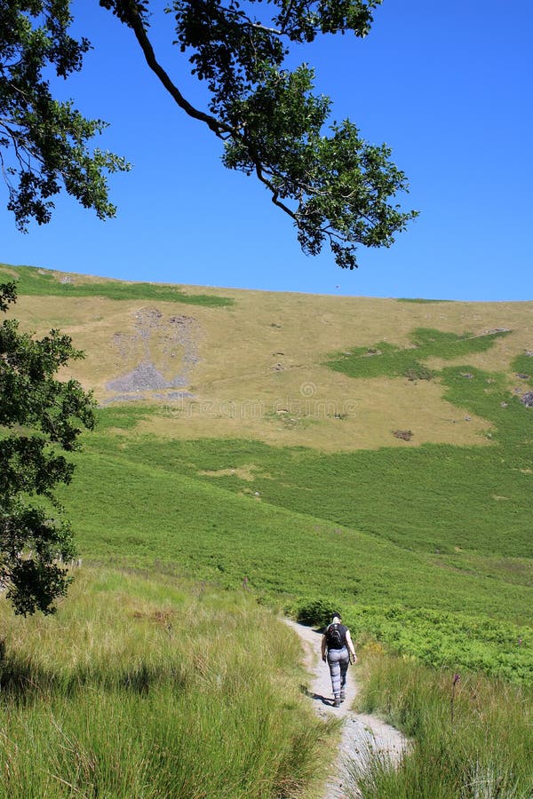 Camminatore sul sentiero per pedoni della montagna il giorno caldo e soleggiato immagine stock Camminatore sul sentiero per pedoni della montagna il giorno caldo e soleggiato immagine stock