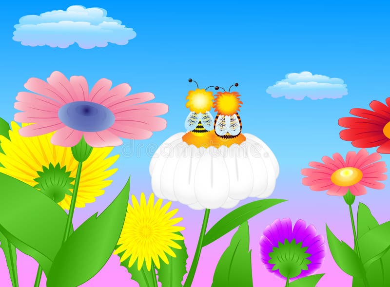 Camomile meadow two bees