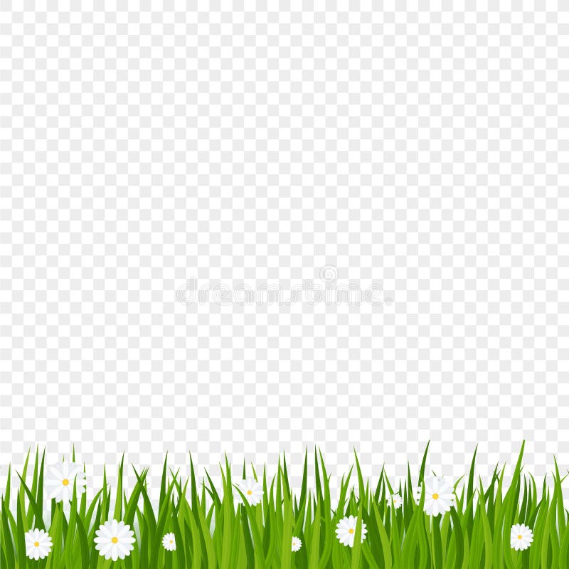 cartoon grass border