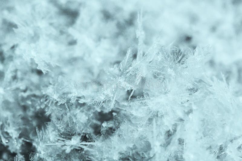 a close-up macrophotography of crystals of geometric patterns of snowflakes. a close-up macrophotography of crystals of geometric patterns of snowflakes