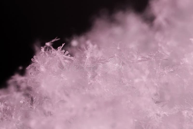 a close-up macrophotography of crystals of geometric patterns of snowflakes. a close-up macrophotography of crystals of geometric patterns of snowflakes