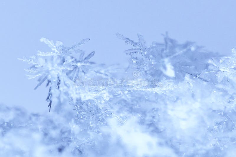 a close-up macrophotography of crystals of geometric patterns of snowflakes. a close-up macrophotography of crystals of geometric patterns of snowflakes