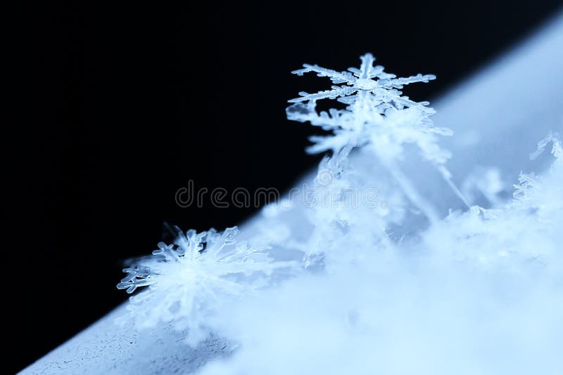 a close-up macrophotography of crystals of geometric patterns of snowflakes. a close-up macrophotography of crystals of geometric patterns of snowflakes