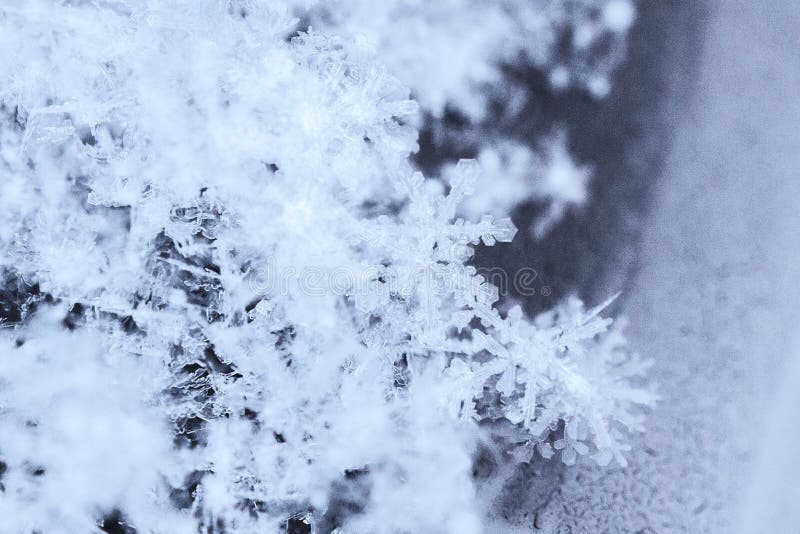 a close-up macrophotography of crystals of geometric patterns of snowflakes. a close-up macrophotography of crystals of geometric patterns of snowflakes