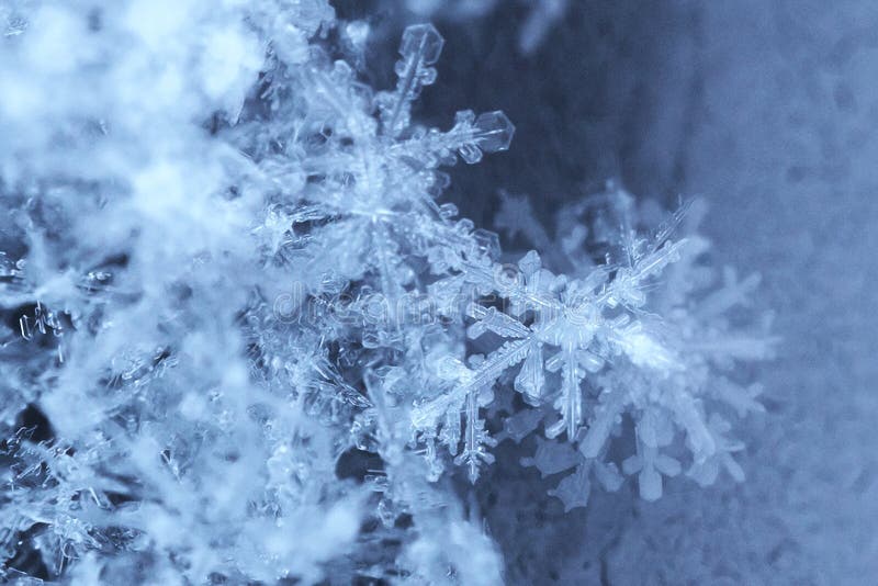 a close-up macrophotography of crystals of geometric patterns of snowflakes. a close-up macrophotography of crystals of geometric patterns of snowflakes