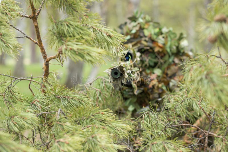 A Camouflaged Sniper Sitting In The Woods Aiming Through His Scope Stock  Photo, Picture and Royalty Free Image. Image 42659284.