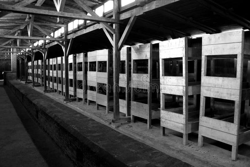 Camp De Concentration D'Auschwitz Image éditorial Image 39952170