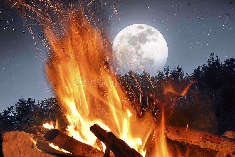 Incendios quemaduras adentro Bosque en luna llena noche.