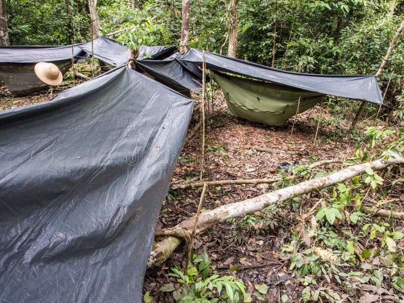 Camp in the jungle stock image. Image of experience 212200851